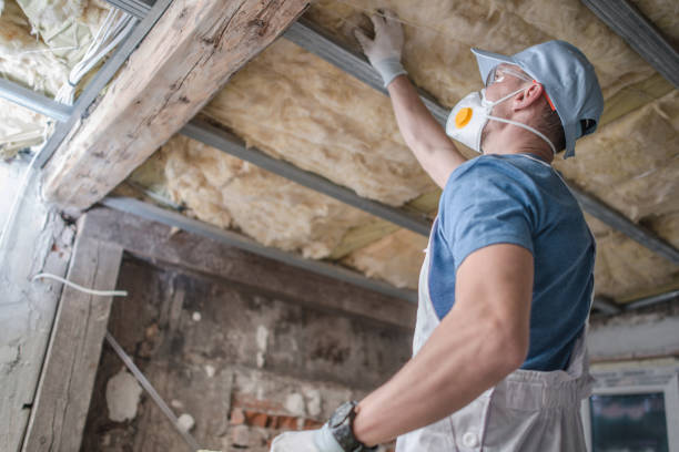 Best Insulation Replacement Services  in Frackville, PA
