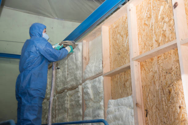 Best Home Insulation Services  in Frackville, PA